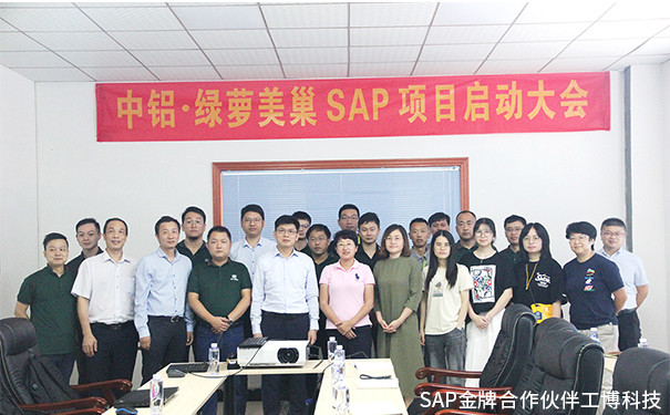 美巢家居ERP,綠蘿美巢ERP,中國鋁業(yè)集團(tuán)ERP,SAP Business One系統(tǒng)，中鋁·綠蘿美巢SAP ERP項(xiàng)目