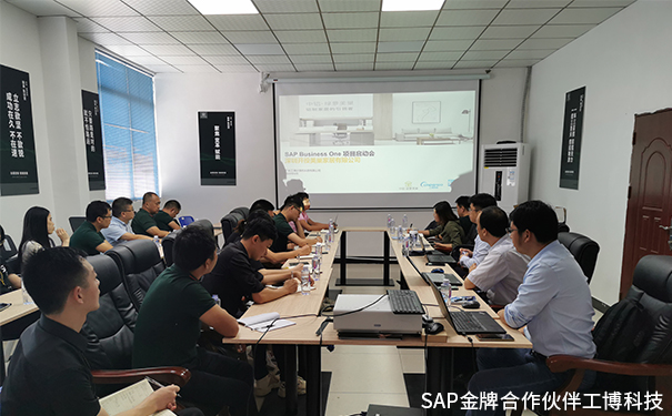 美巢家居ERP,綠蘿美巢ERP,中國鋁業(yè)集團(tuán)ERP,SAP Business One系統(tǒng)，中鋁·綠蘿美巢SAP ERP項(xiàng)目