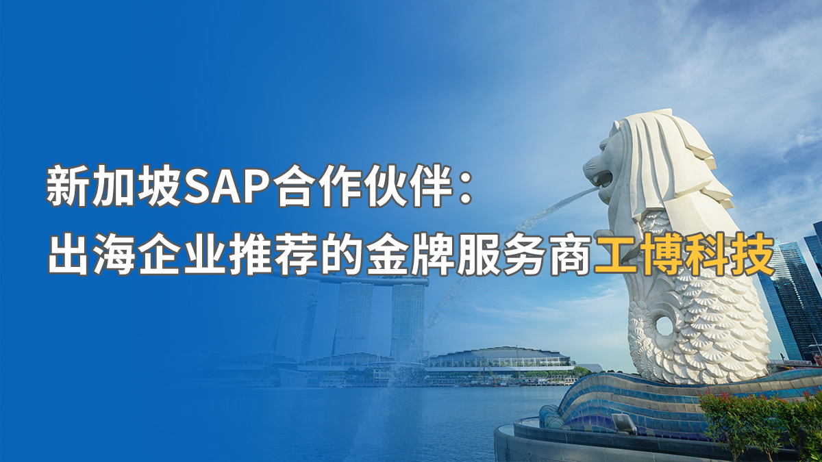 如何提升新加坡SAP實(shí)施成功率？揭秘中資企業(yè)出海的“合規(guī)密碼”